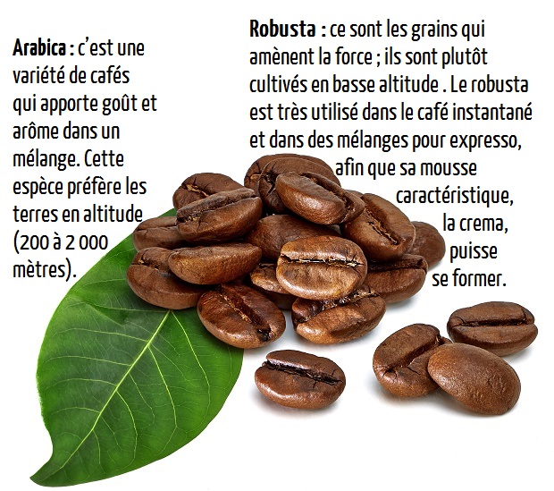 tiroir cafe détouré