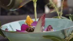 vendanges-etoilees-cassis 2018