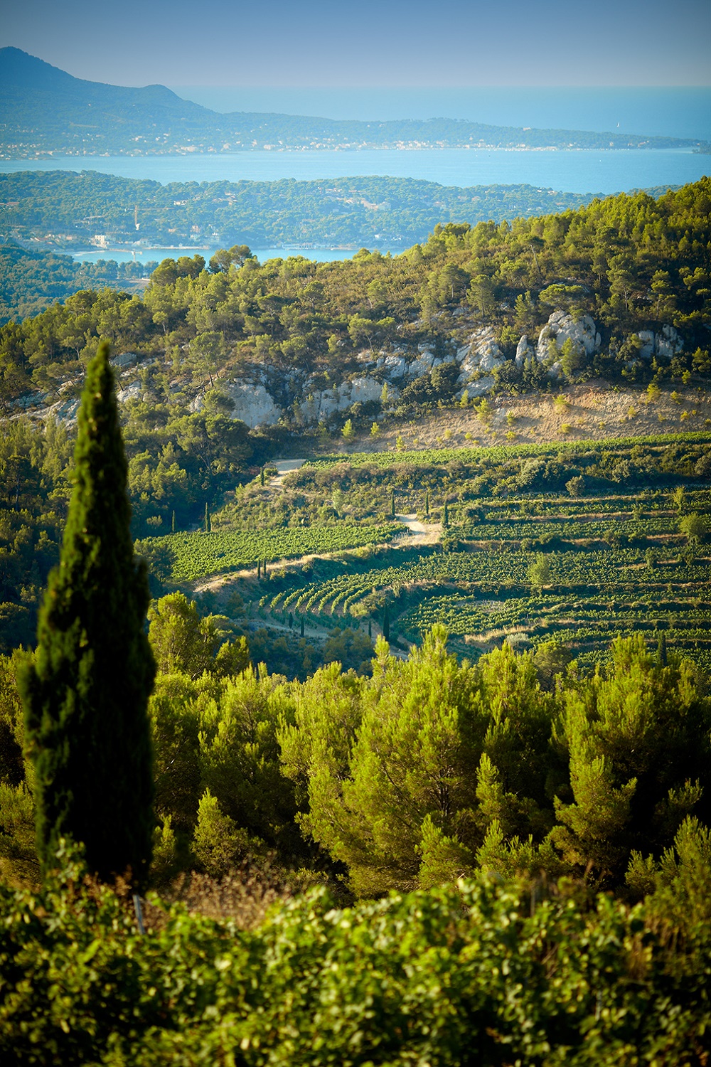 bandol