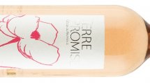 Terre Promise Henri Bonnaud
