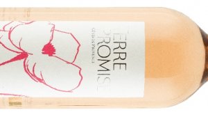 Terre Promise Henri Bonnaud