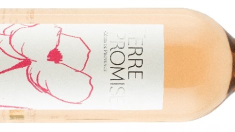 Terre Promise Henri Bonnaud