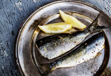 sardine