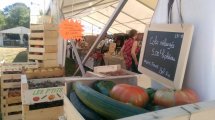 salon des Agricultures de Provence