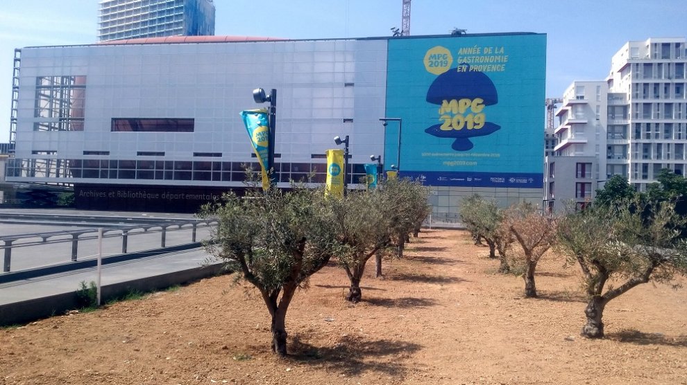 Saveurs et Lumière de Provence