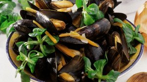 moules potagères