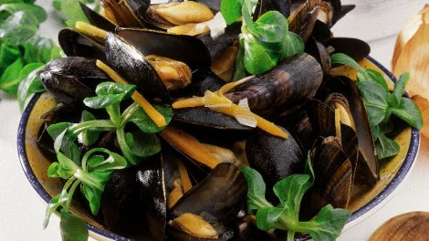 moules potagères