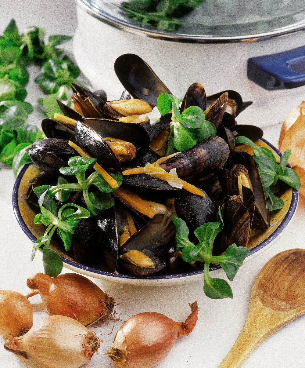 moules potagères