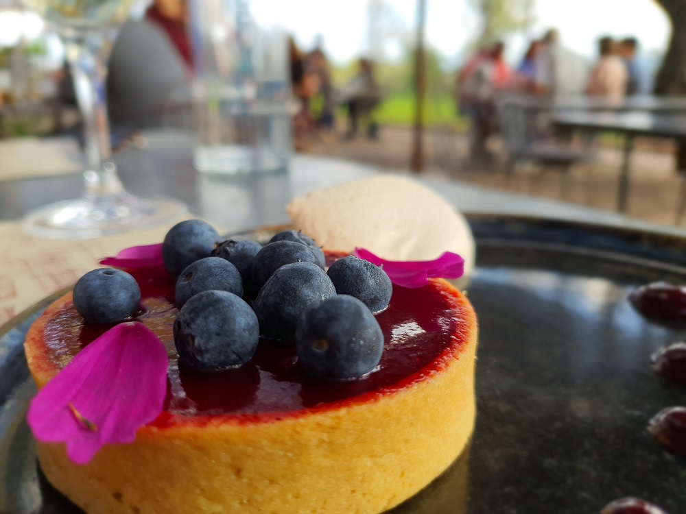 tarte fine au cassis