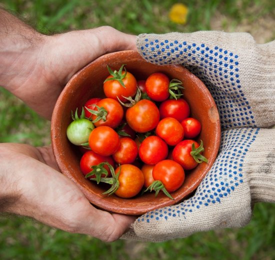 précarité alimentaire