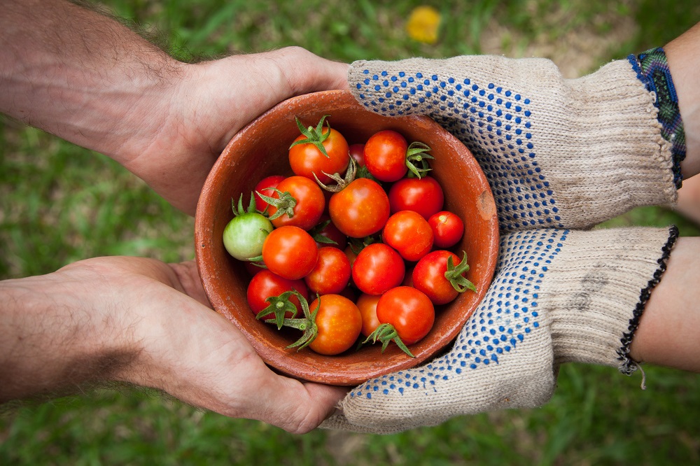 précarité alimentaire