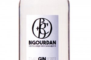 gin bigourdan