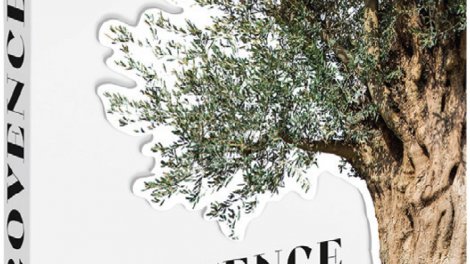 Catherine Roig livre