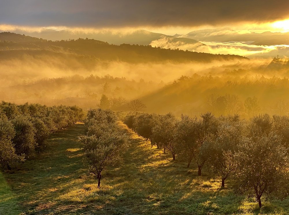 Domaine des Bergeries