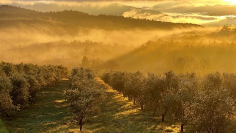 Domaine des Bergeries