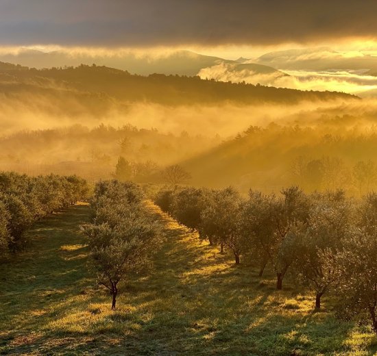 Domaine des Bergeries