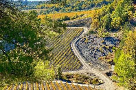 Domaine des Bergeries