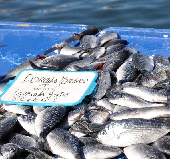 Marseille cuisine le monde