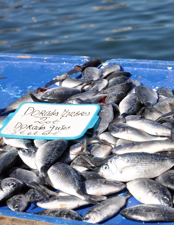 Marseille cuisine le monde