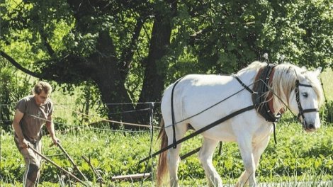 Les chefs à Saint-Tropez fêtent les producteurs
