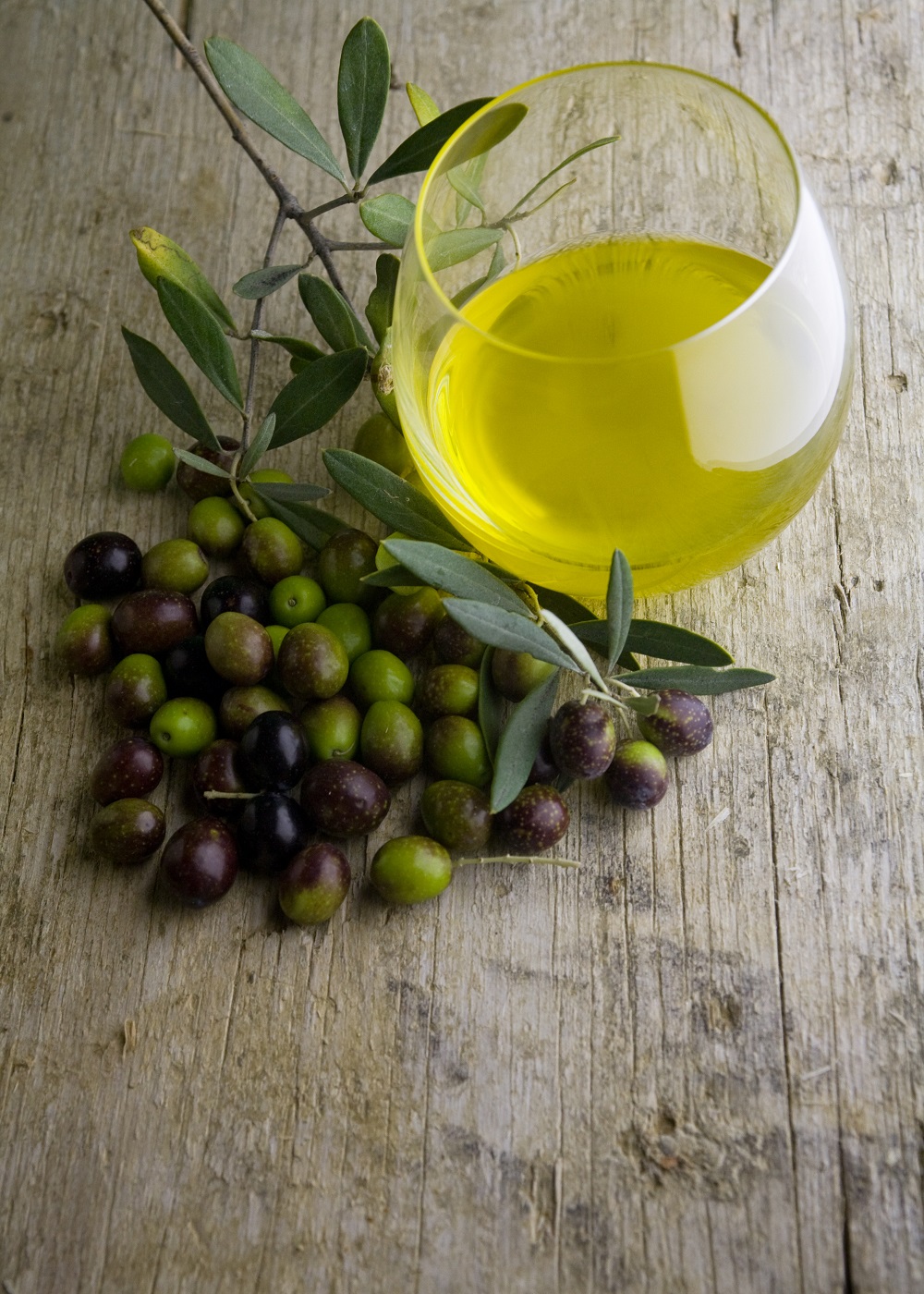 huiles d'olive