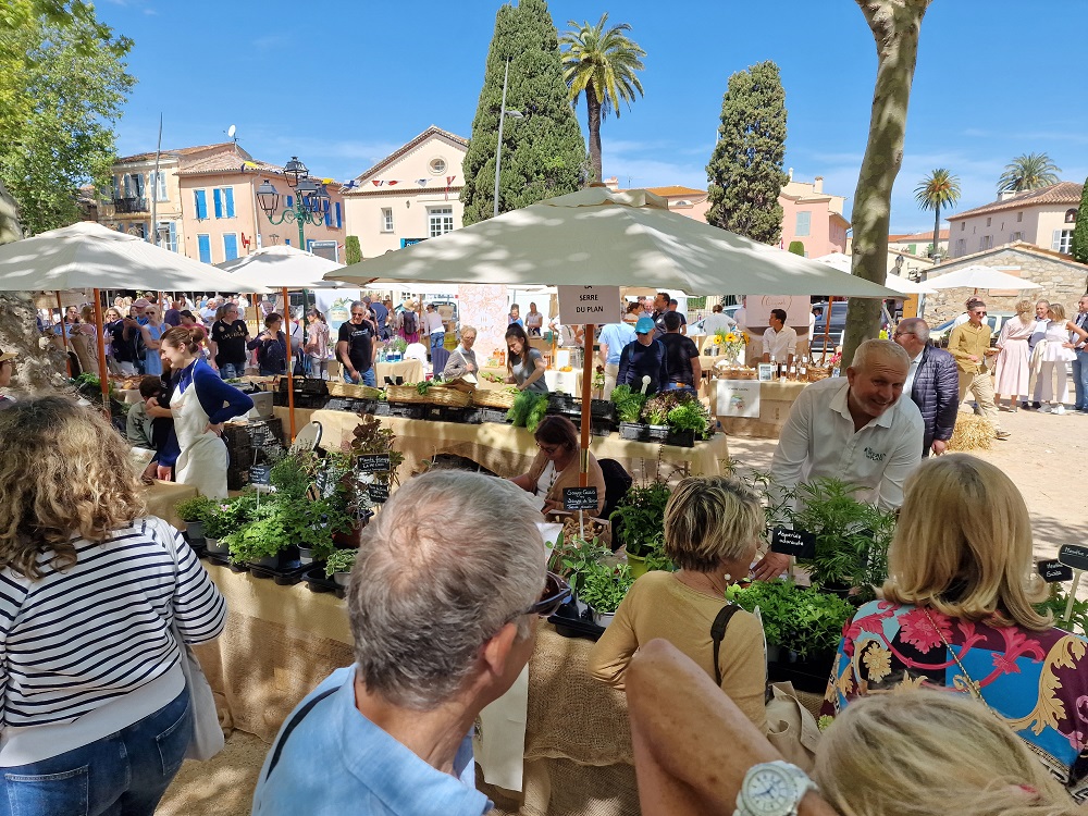 festival les Chefs à Saint-Tropez