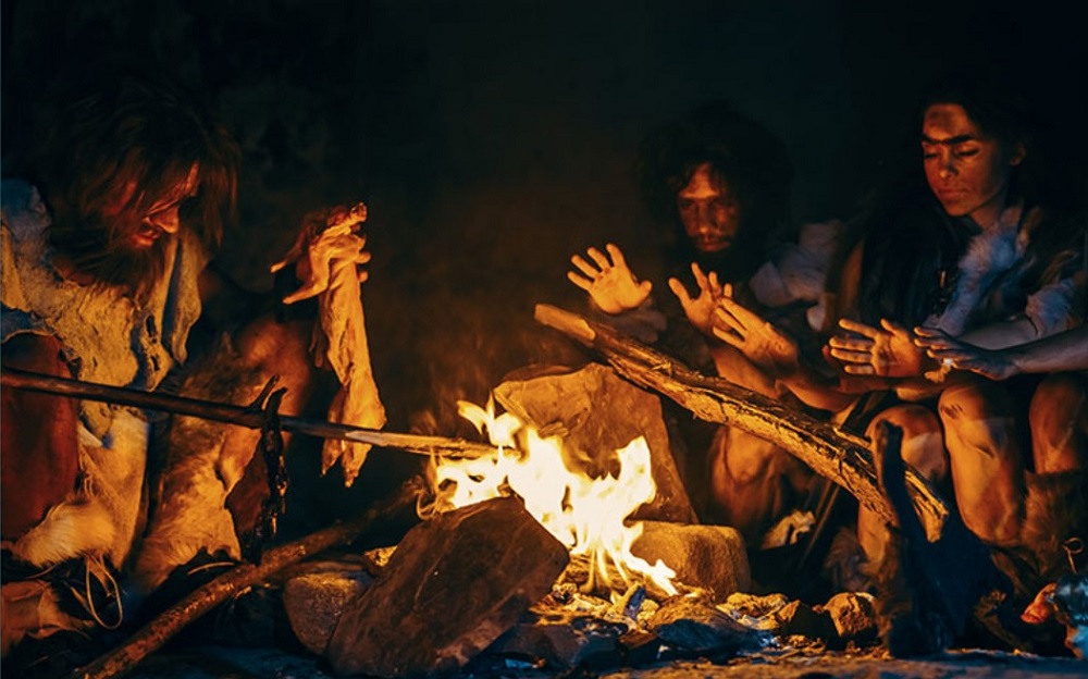 Repas préhistoriques à la grotte Cosquer