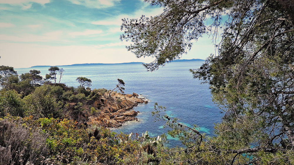 Cavalière dans le Var