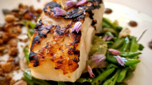 Le capucin, brasserie sur la Canebière à Marseille