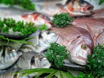 les poissons de la Poissonnerie les Délices de la Mer à la Rouvière