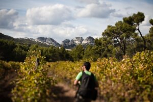 L'intelligence artificielle comme outil d'accueil touristique en Provence