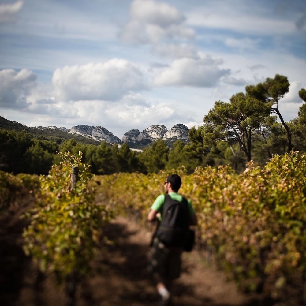 L'intelligence artificielle comme outil d'accueil touristique en Provence