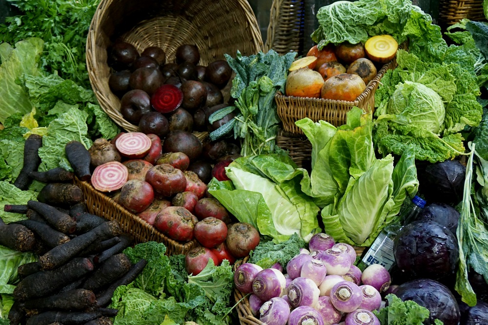 L'agriculture urbaine a droit de cité à Marseille