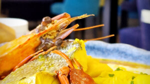 auberge du Mérou à Niolon, la marmite du pêcheur