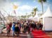 fête des vins de Bandol 2024