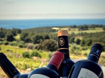 Les Escapades du Vin de Bandol, c'est le 6, 7 et 8 juin 2025 au domaine de Frégate
