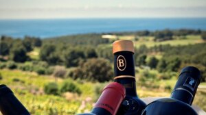 Les Escapades du Vin de Bandol, c'est le 6, 7 et 8 juin 2025 au domaine de Frégate