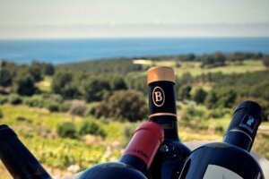 Les Escapades du Vin de Bandol, c'est le 6, 7 et 8 juin 2025 au domaine de Frégate