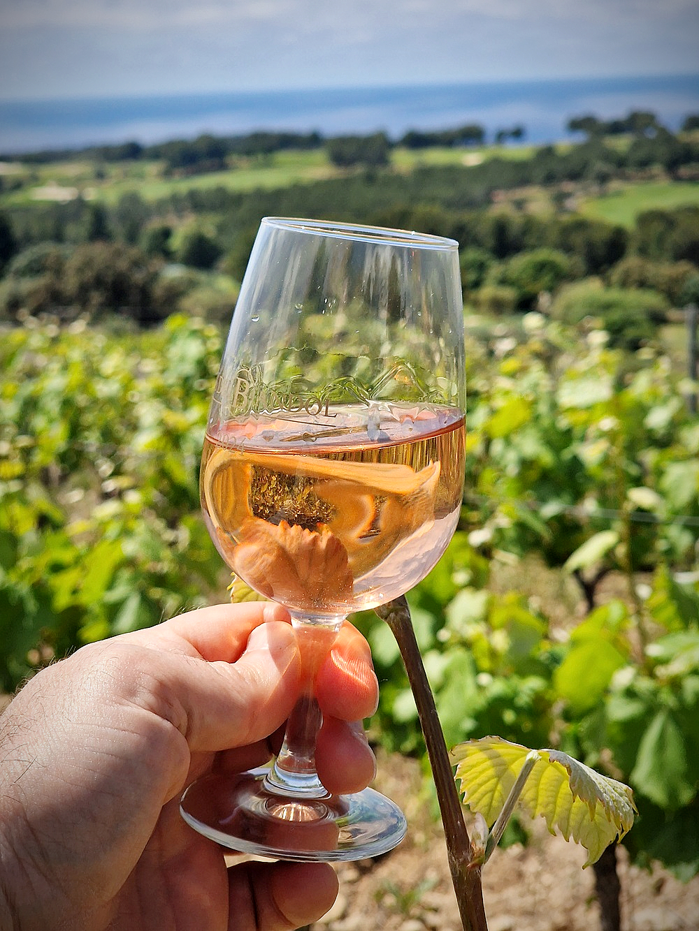 Les Escapades du Vin de Bandol, c'est le 6, 7 et 8 juin 
