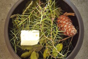 Le restaurant gastronomique Soléa à Aups