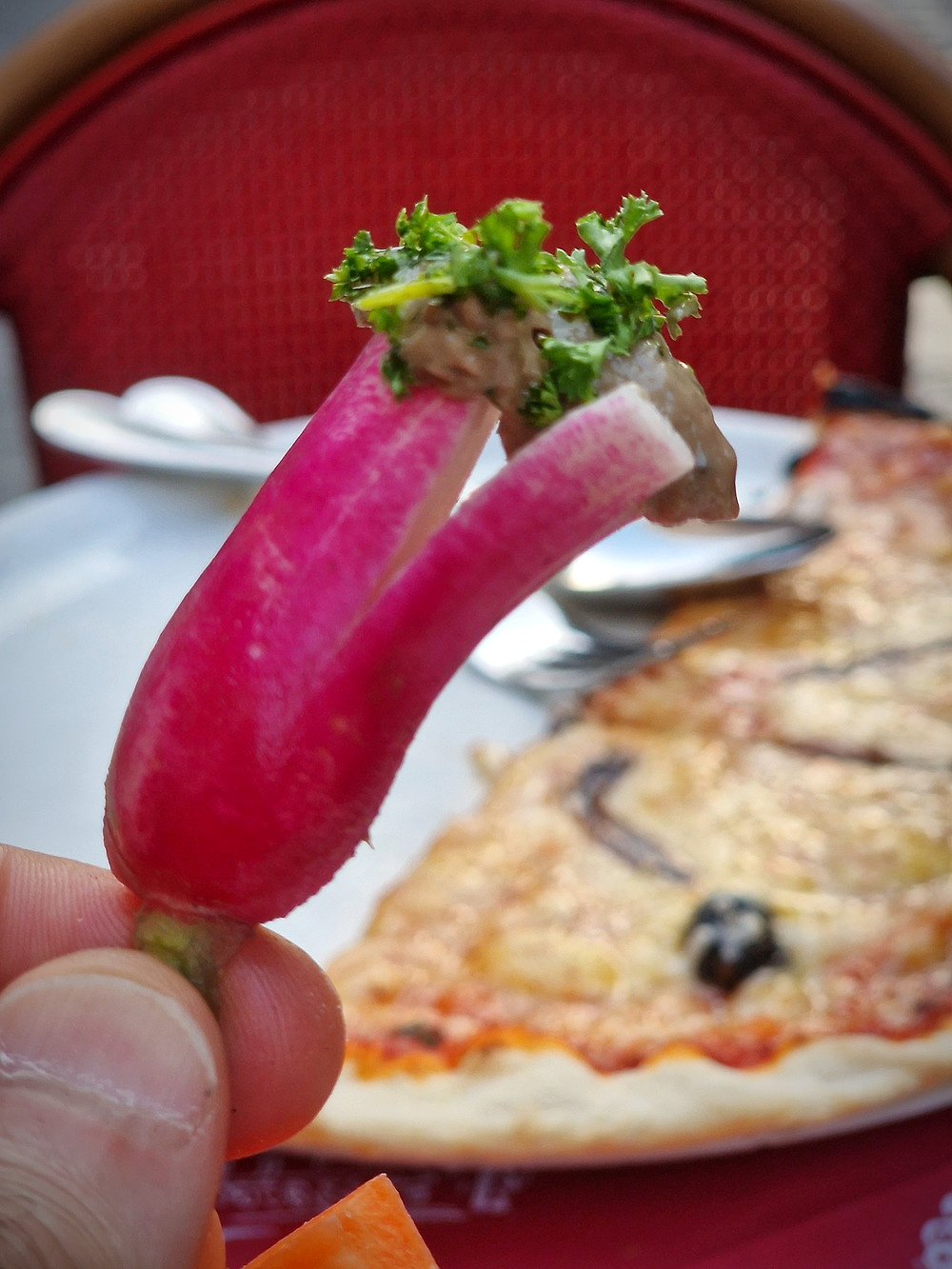 un radis anchoïade