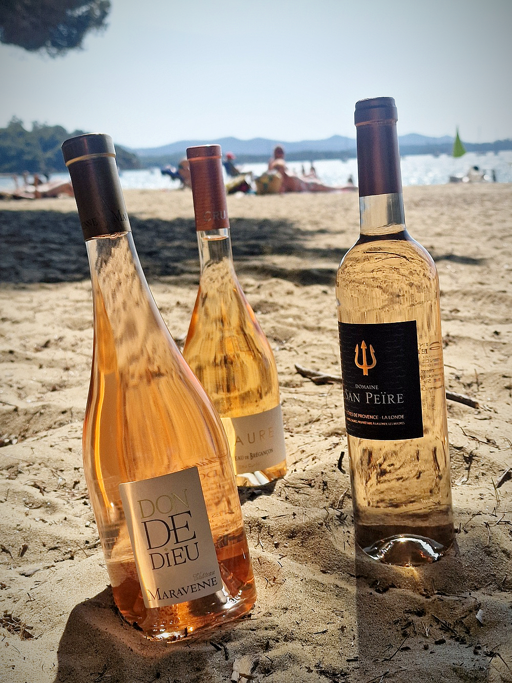 Les vignerons sous les étoiles à La Londe-les-Maures
