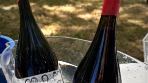 L'association Rouge Provence se finance par la vente des magnums Plaisir Solidaire