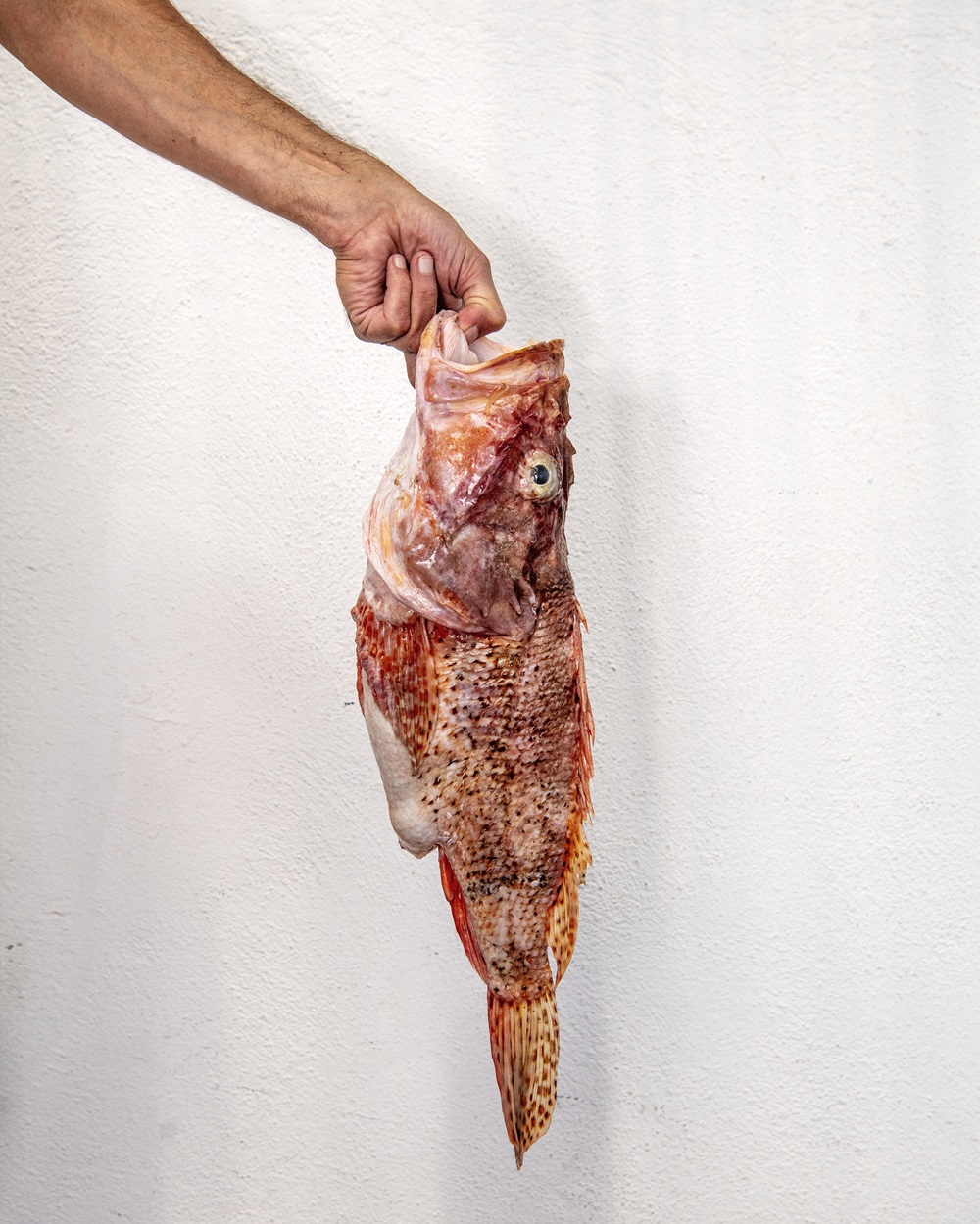 Chez-Paul, l’Auberge du Corsaire à Marseille, les Goudes