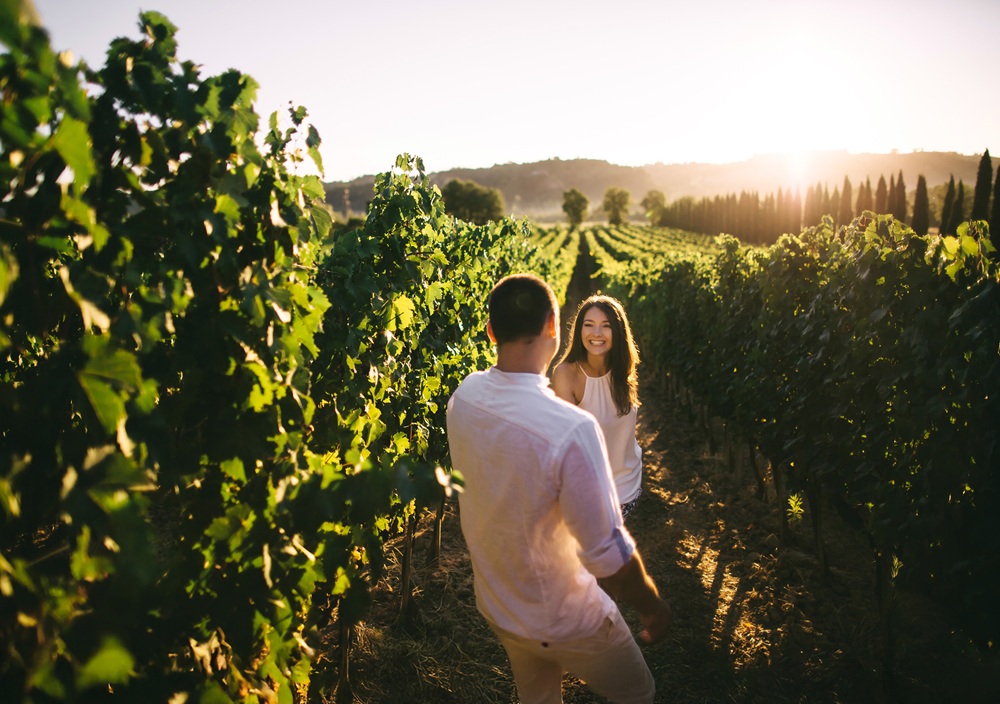 Vignobles en Scène, la Provence viticole à savourer comme jamais
