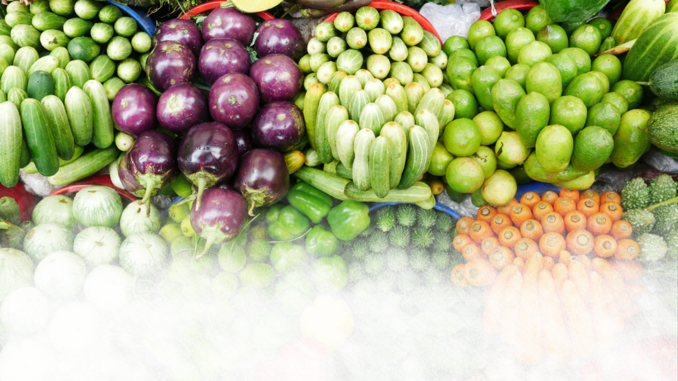 Fruits et légumes : l'association des Paniers marseillais revendique les tarifs les plus compétitifs et le meilleur rapport qualité-prix