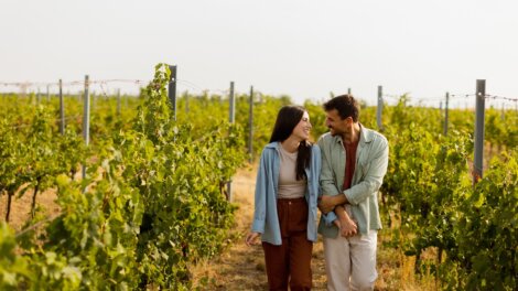 Vignobles en Scène du 16 au 19 octobre 2025