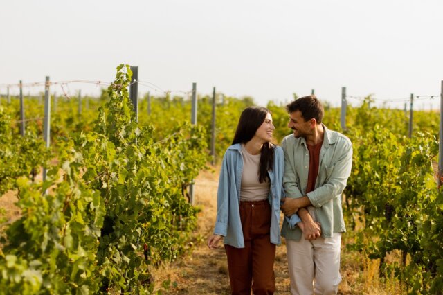Vignobles en Scène du 16 au 19 octobre 2025