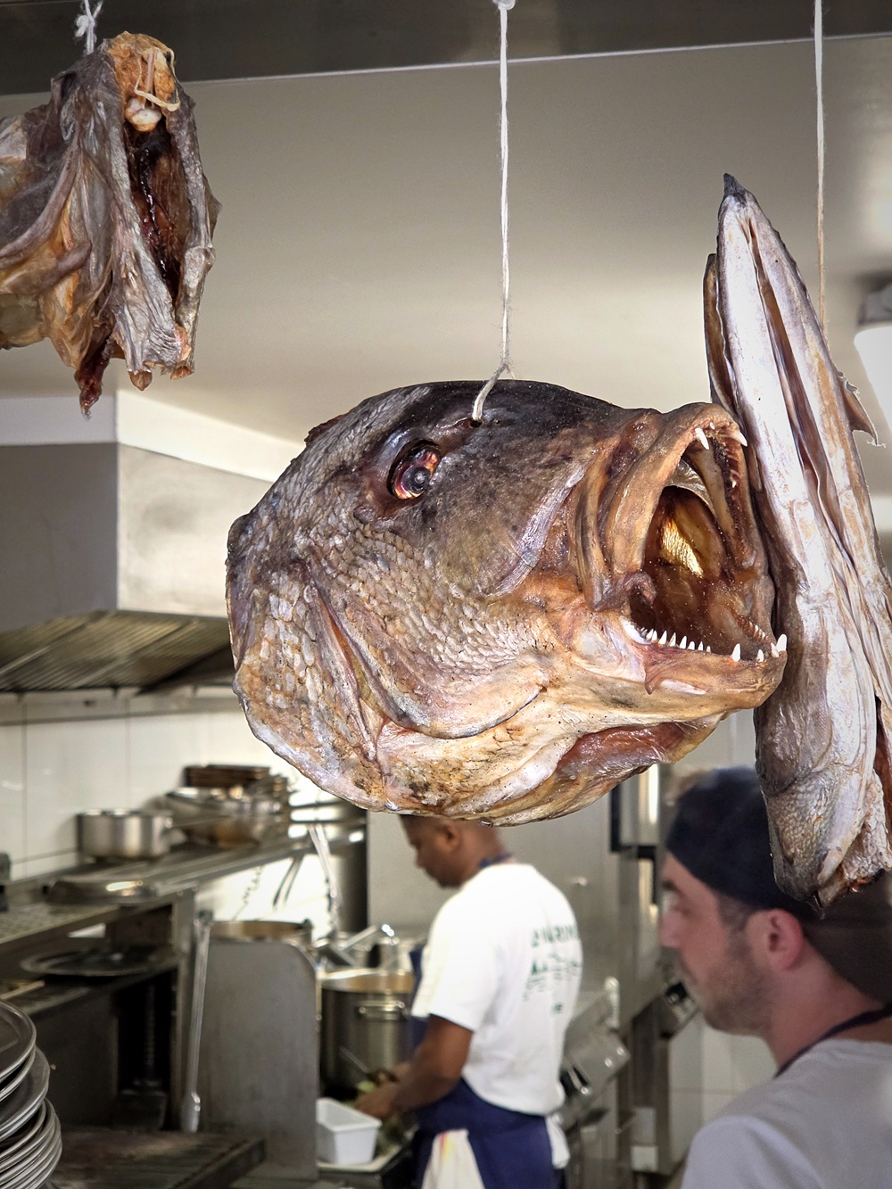 La Marine des Goudes : bouillabaisse, pissaladière et cuisine marseillaise signée Lucas Drancourt, chef trentenaire au caractère affirmé